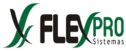 FLEXPRO SISTEMAS LTDA<