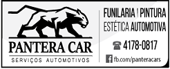PANTERA CAR<